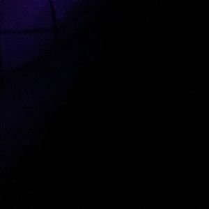 Meet your Posher, Lex